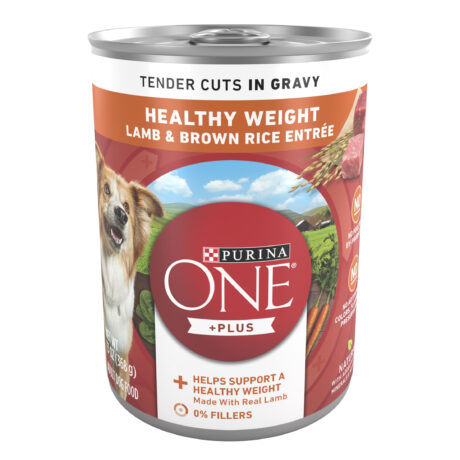 Purina ONE Smart Blend Natural Wet Dog Food, High Protein Soft Lamb & Brown Rice , 13 oz can