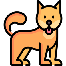 Pets
